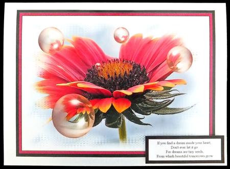 Nature Photo Topper #1 by Carol Bath 