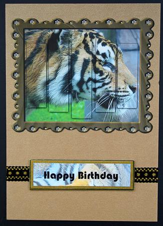 Tiger Split Pyramid Great Mans Card by Carol Bath 