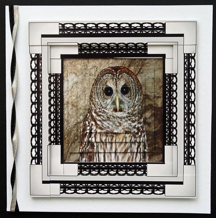 Spiral Pyramid Barn Owl by Carol Bath 