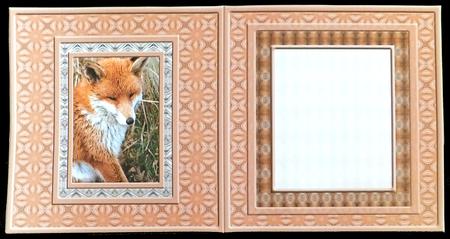 Fox Blank Square Insert by Carol Bath 