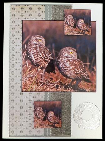 Burrowing Owls Topper by Carol Bath 