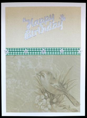 Olive Bird Duo A4 Backing Paper by Carol Bath 