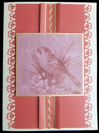Dusky Pink Bird Duo A4 Backing Paper by Carol Bath 