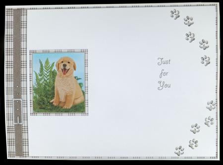 Puppy Insert 3 by Carol Bath 
