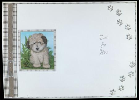 Puppy Insert 5 by Carol Bath 