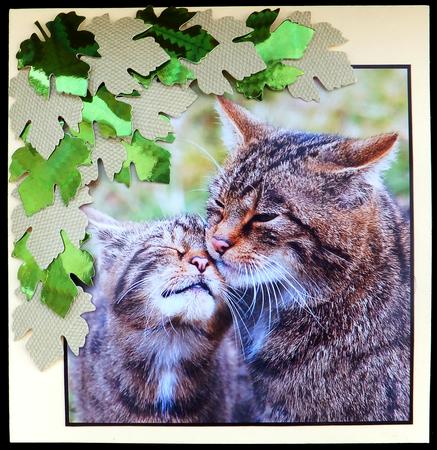 Scottish Wildcat with Her Kitten Topper by Carol Bath 