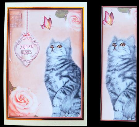 Little Kitten & Butterfly Card Front by Carol Bath 
