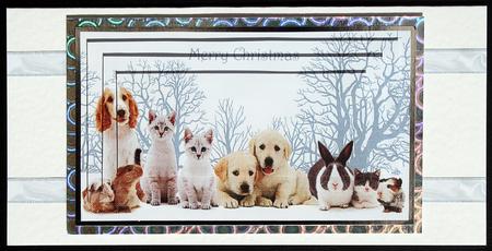 Furry Friends in the Snow, Pyramids by Carol Bath 