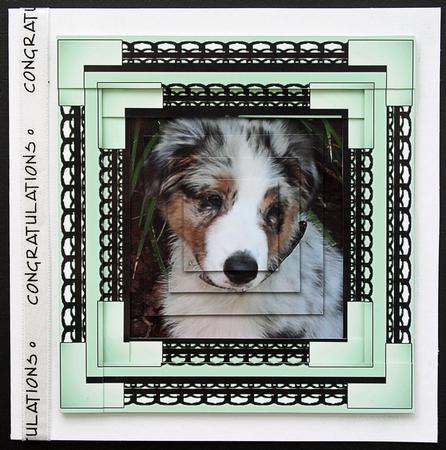 Spiral Pyramid Mans Best Friend by Carol Bath 