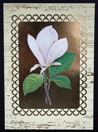 Magnolias Decoupage - Sheet 2 of 2 by Carol Bath 