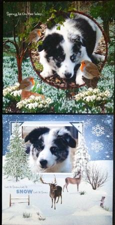 January/february by Carol Bath 