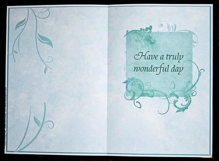 Have a Truly Wonderful Day Insert (soft Green) by Carol Bath 