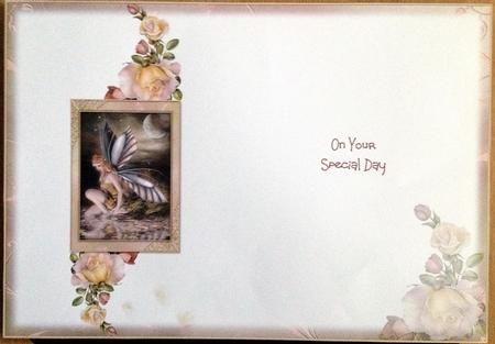 The Lost Fairy Blank Insert by Carol Bath 