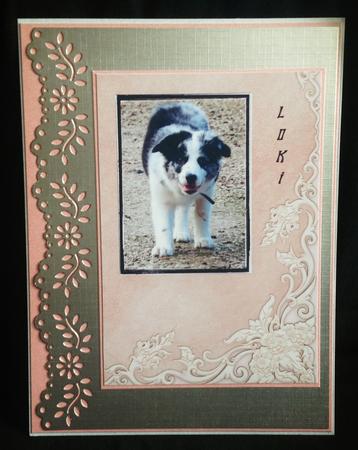 Two Chic Backing Paper Backgrounds by Carol Bath 