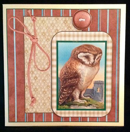 Owl Card Front with a Topper and Decoupage by Carol Bath 