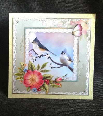 Moonlit Birds 8x8 Mini Kit by Carol Bath 