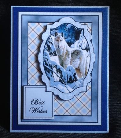 Winter Wolves Quick Card by Carol Bath 