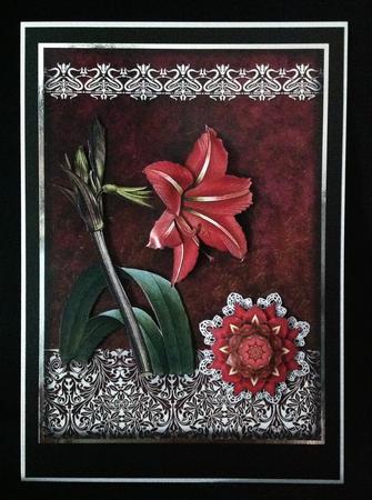 Vintage Floral 64 by Carol Bath 