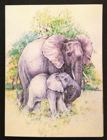 Elephant Combi Card Box Handcut by Carol Bath 