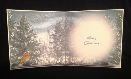 Robin Awaits -  Insert by Carol Bath 
