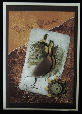 Vintage Birds 2, Bird of Paradise by Carol Bath 