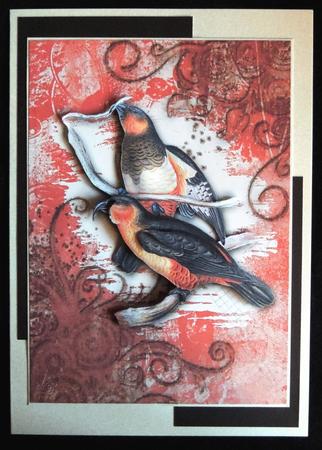 Vintage Birds 4, Tropical Birds 2 by Carol Bath 