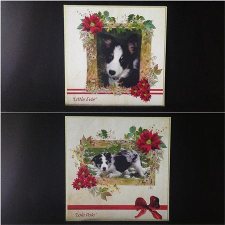 Wooden Frames by Carol Bath 