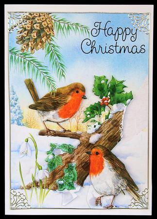 Christmas Robins by Carol Bath 