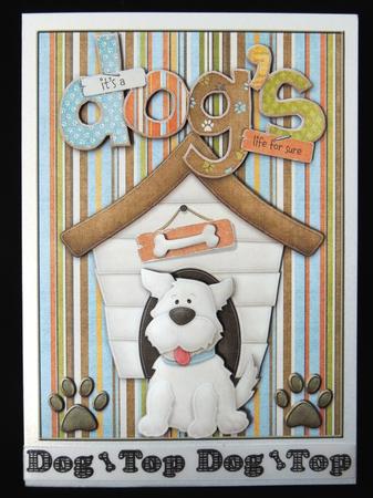 A Dogs Life by Carol Bath 