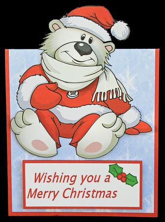 Cute Xmas Polar Bear by Carol Bath 