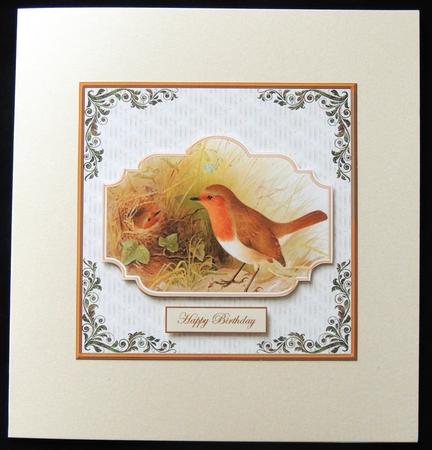 Robin Watching Her Baby Card with Topper by Carol Bath 
