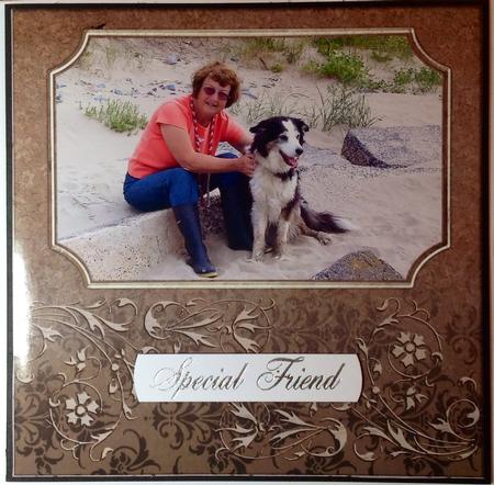 Vintage Frame Pack1 by Carol Bath 
