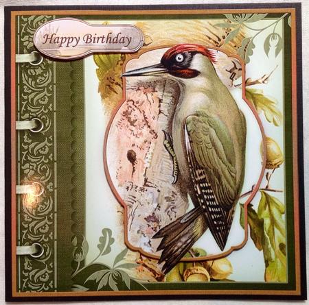 Keep Your Pecker Up Get Well Soon or Birthday Card Topper by Carol Bath 