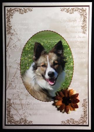 Cu 6 Script Frames by Carol Bath 
