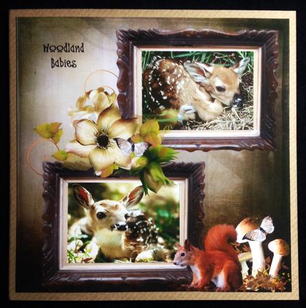 Gorgeous Little Deers in the Woodland Cards by Carol Bath 