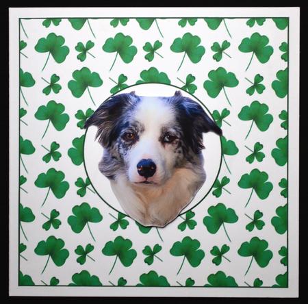 Patricks Day Shamrock Hat Insert 8x8 by Carol Bath 