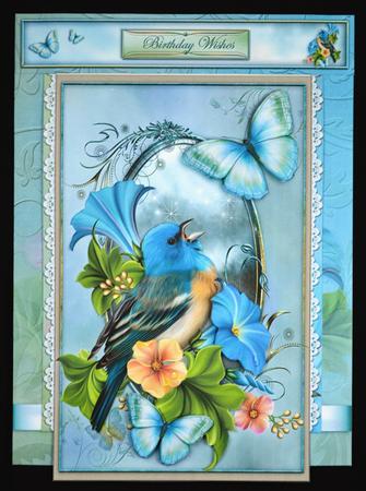 3 in 1 Early Bird by Carol Bath 