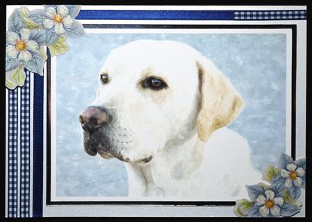 Cute Dog Watercolour Background 1 by Carol Bath 