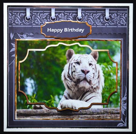White Tiger Card with Shaped Layers by Carol Bath 