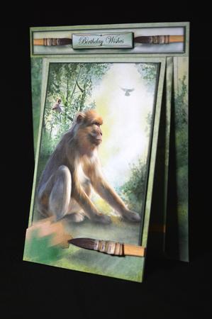 3 in 1 the Artists Majestic Monkey by Carol Bath 