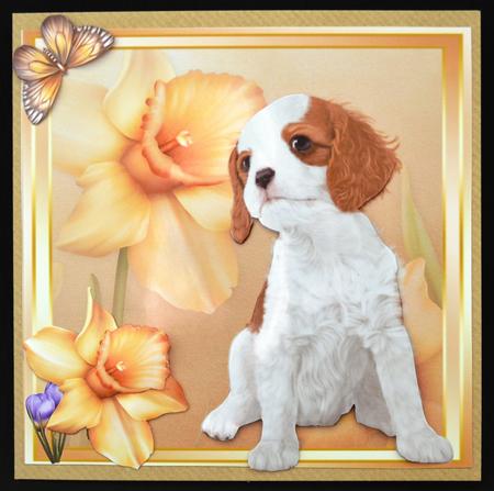 Gorgeous Cavalier with Daffodils 8x8 Mini Kit by Carol Bath 