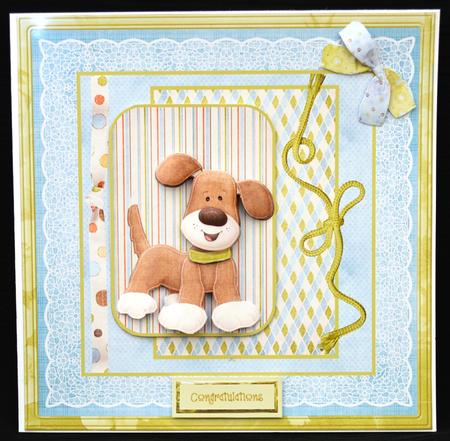 Regi Wagtail 8x8 Card and Decoupage Mini Kit by Carol Bath 