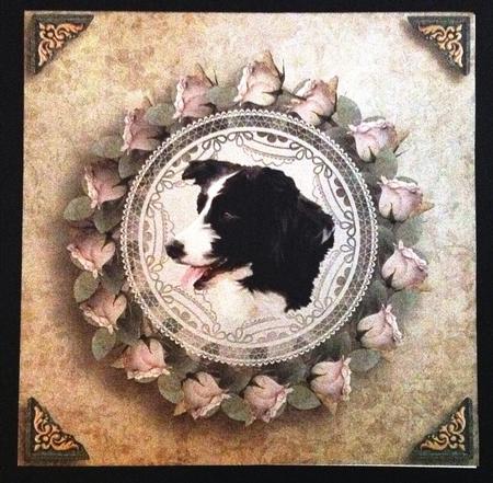 Border Collie Circle Pyramid Pop Through Mini Kit by Carol Bath 