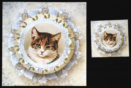 You're Purr-fect Circle Pyramid Pop Through Mini Kit by Carol Bath 