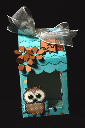 3D Little Hoot Owl Tiny Easter Egg Milk Carton or Treat Box by Carol Bath 