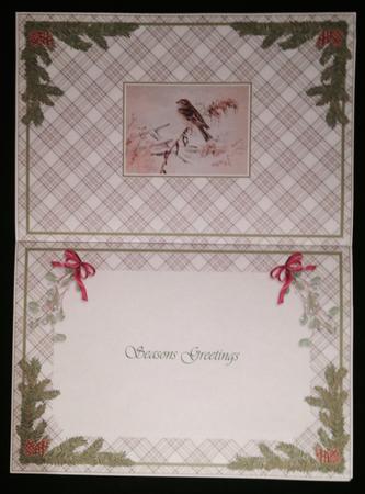 Bird in the Snow Insert by Carol Bath 