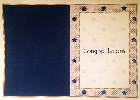 Dark Blue and Cream Stars Insert, with Borders by Carol Bath 