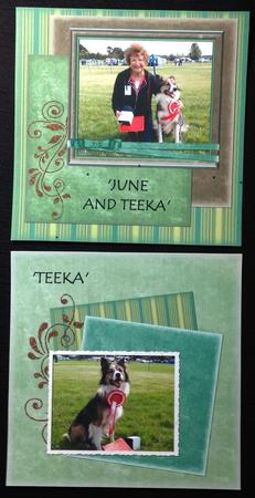 Green Green Grass Quick Pages by Carol Bath 