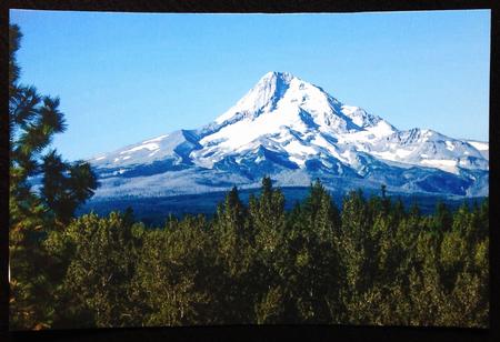 BG Snowcap by Carol Bath 