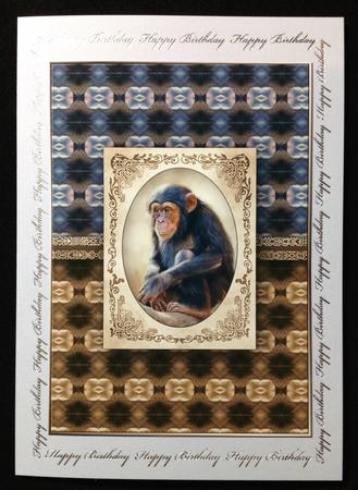 Cheeky Chimp Quick Card by Carol Bath 